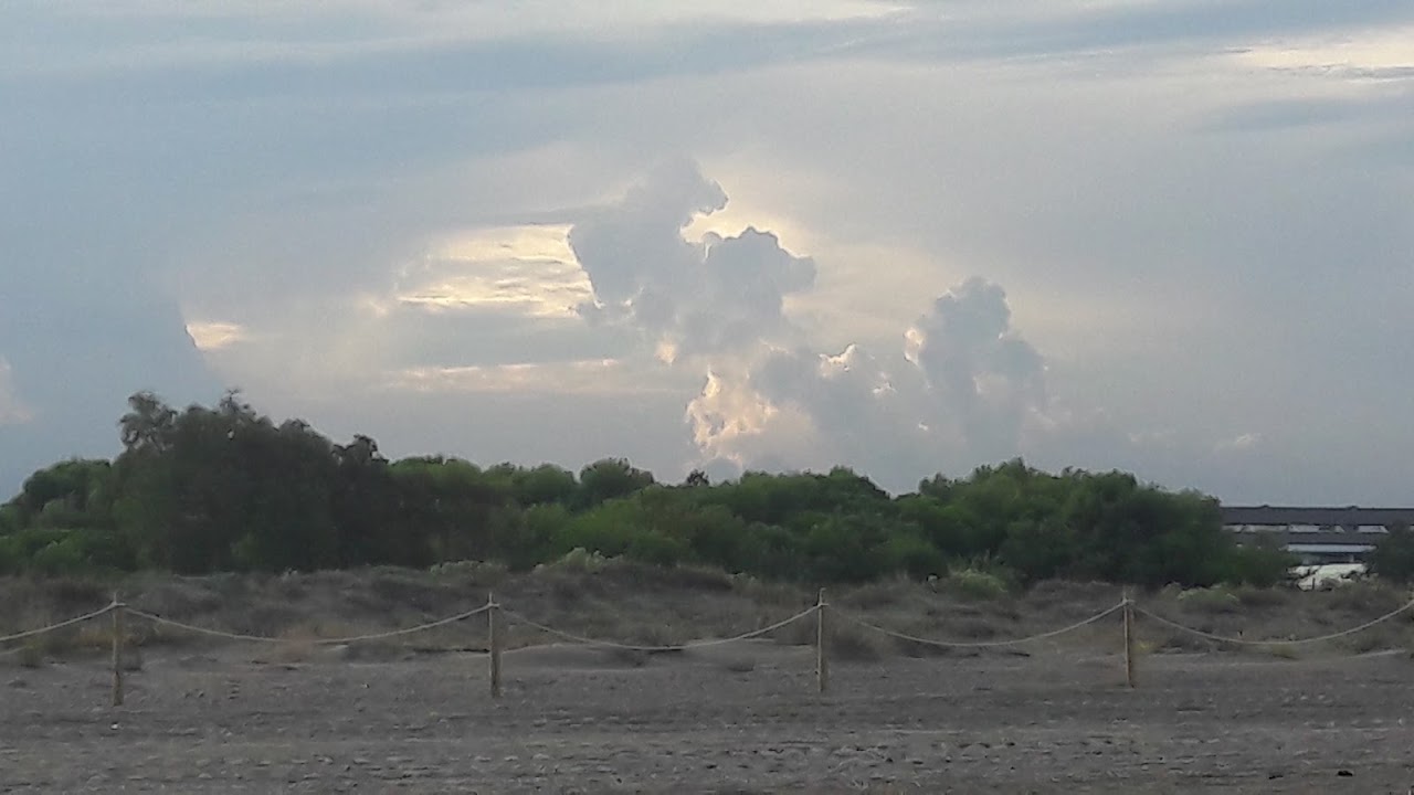 Playa de Almardà