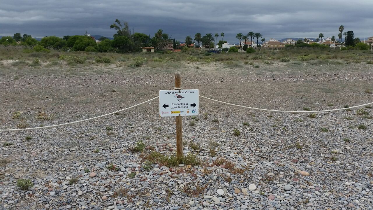 Playa de Almardà